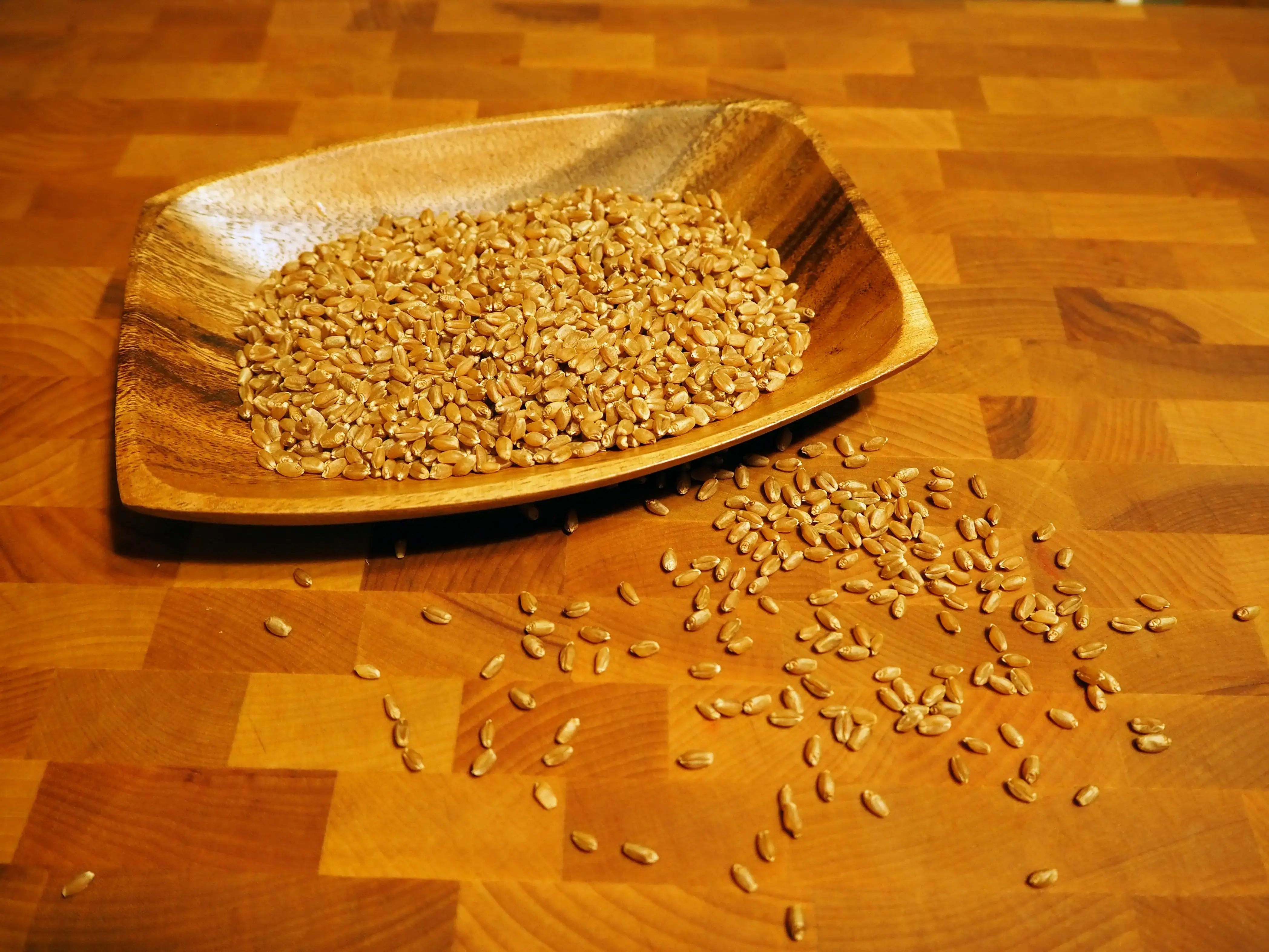 Hard Red Spring Wheat Berries