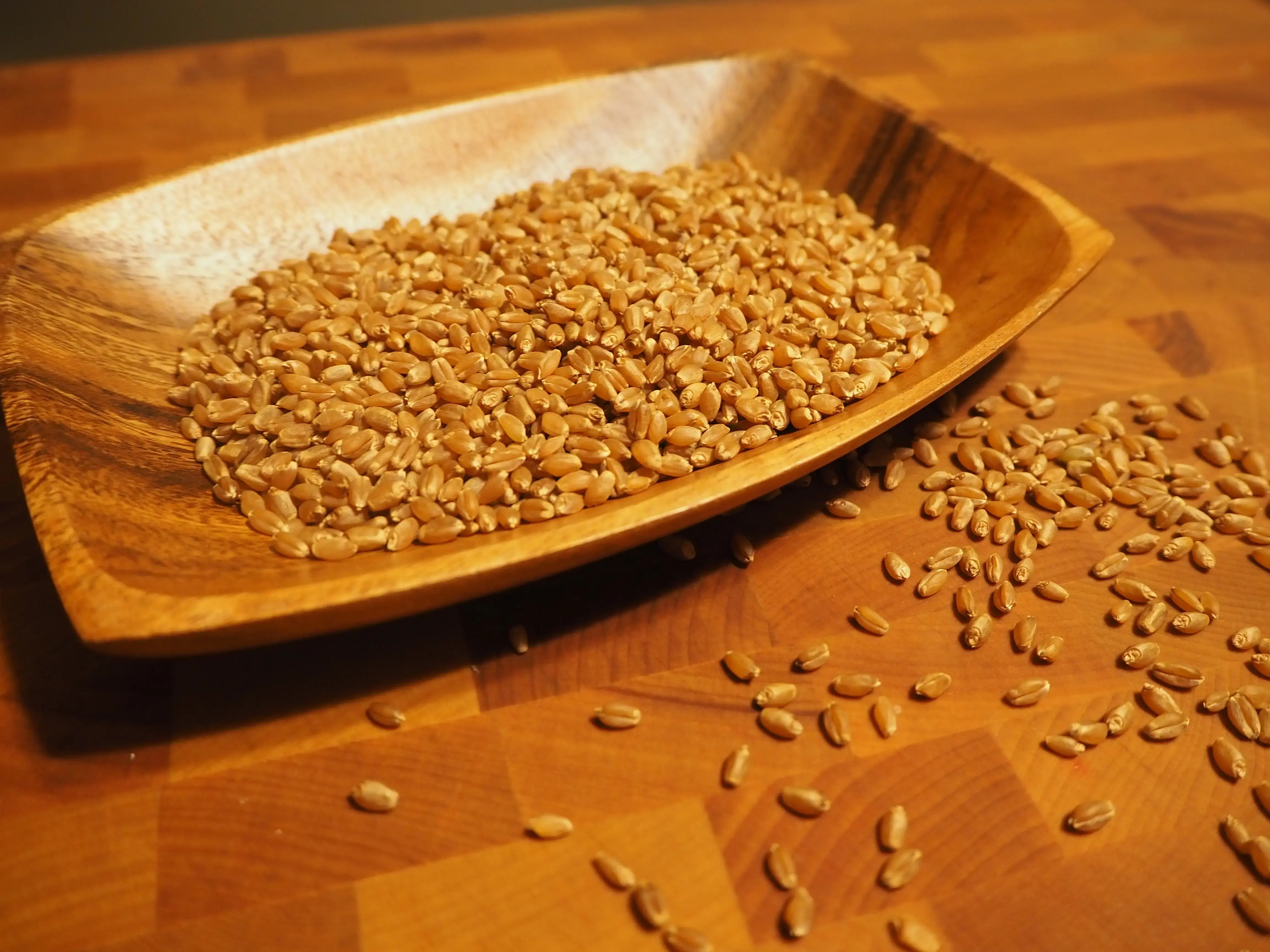 Hard Red Spring Wheat Berries