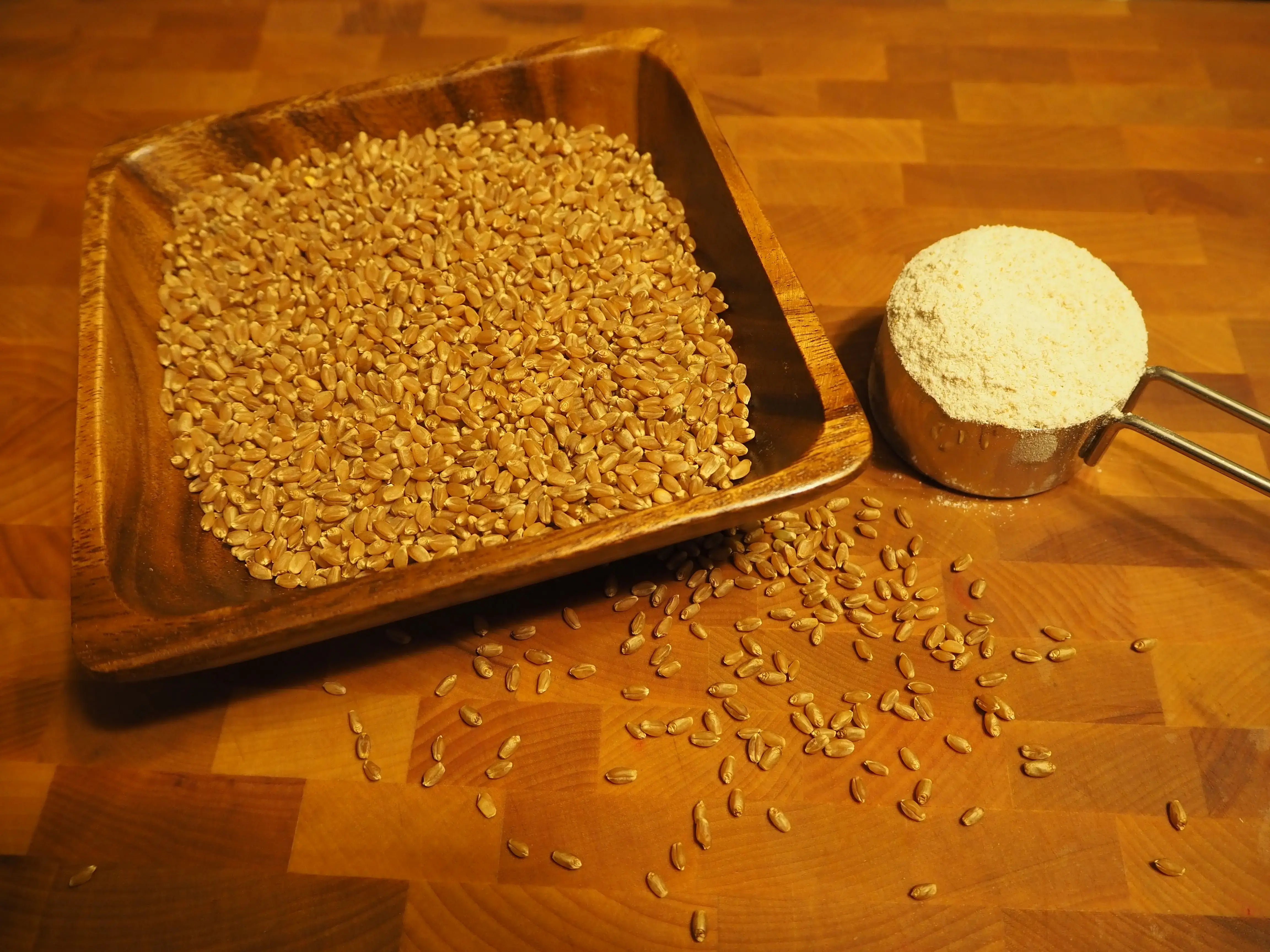 Hard Red Spring Wheat - All Purpose