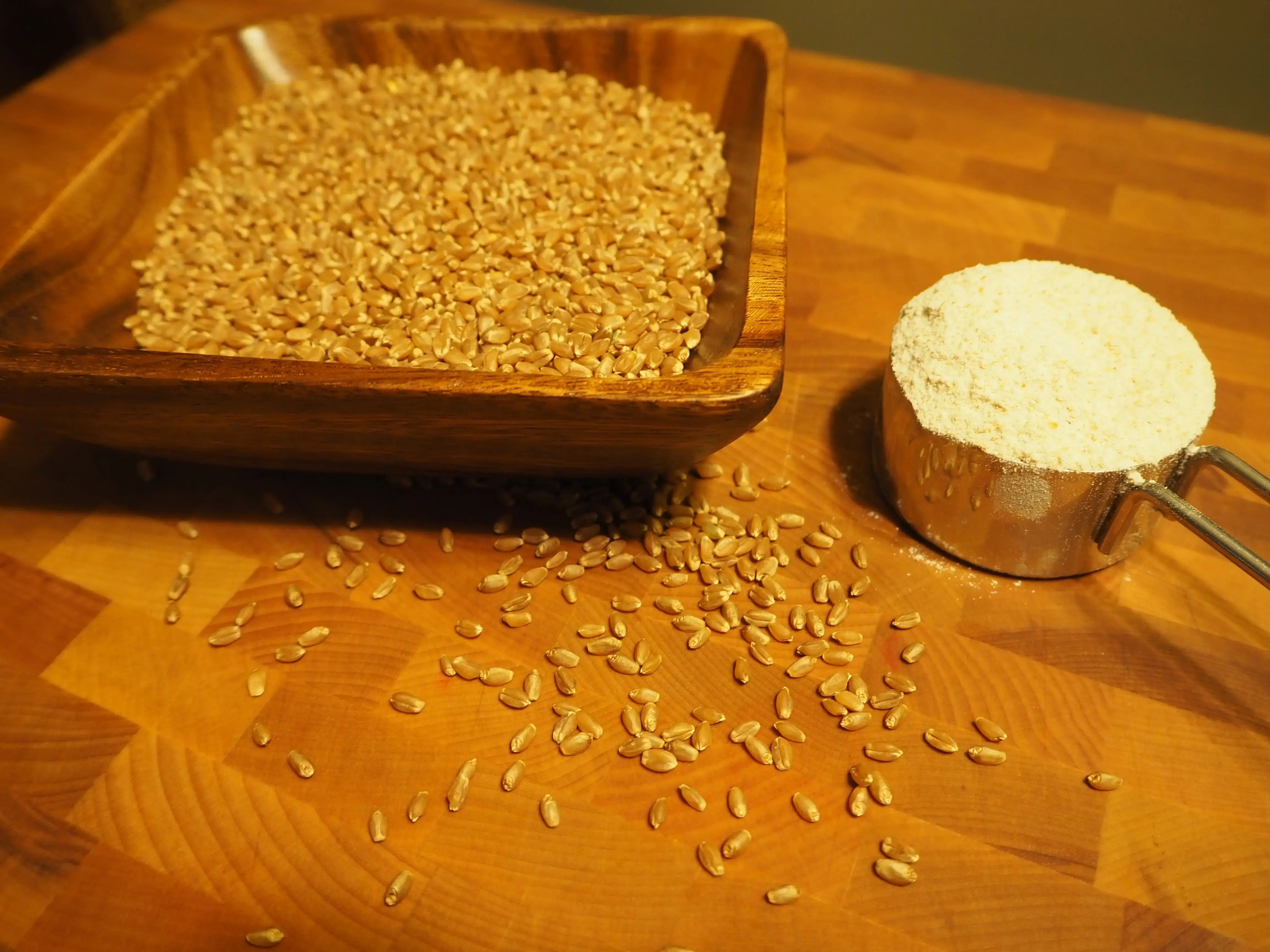 Hard Red Spring Wheat - All Purpose